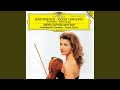 Miniature de la vidéo de la chanson Violin Concerto In D Minor, Op. 47: I. Allegro Moderato