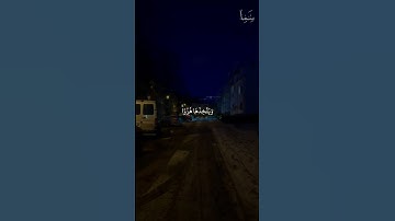 وَمِنَ الناسِ مَن يَشترِي لَهوَ الحَديثِ #سورة_لقمان #مشاري_العفاسي #quran #غزة_تموت_جوعا #غزة_حرة