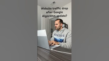 Website traffic drop after Google Algorithm Update? #seo