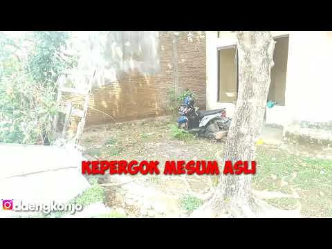 Sepasang remaja berbuat mesum di belakang rumah kosong