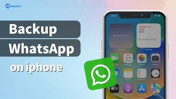 [2023] Hoe maak je eenvoudig een back-up van WhatsApp-chats op je pc vanaf je iPhone?