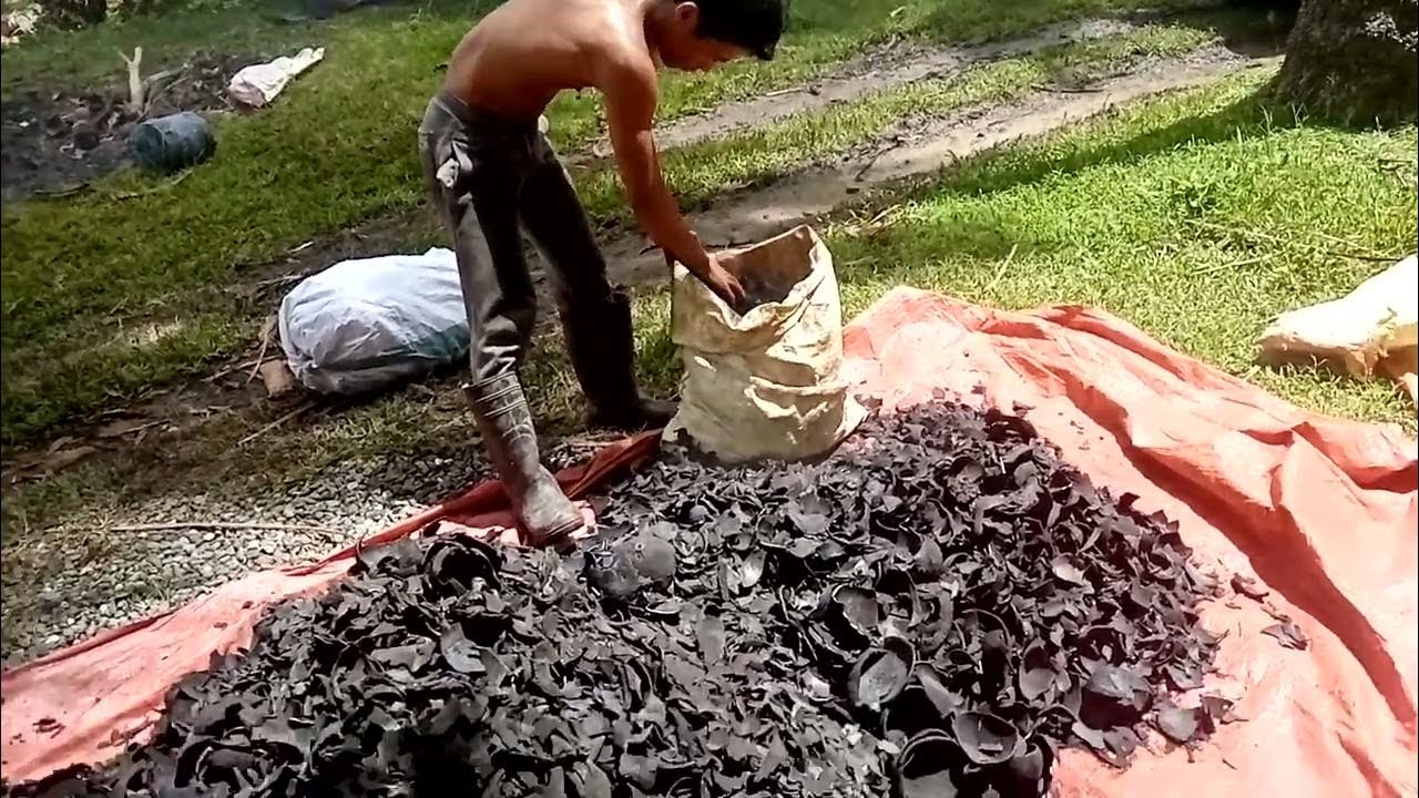 The manual Making of Charcoal from Coconut Shells YouTube