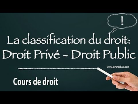 Vidéo: Quelles Branches Du Droit Existent