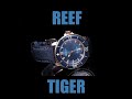 REEF TIGER  RGA3035 DEEP OCEAN