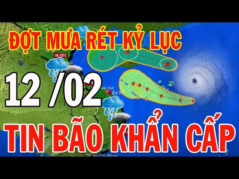 Dự báo thời tiết hôm nay và ngày mai 12/2/2024 