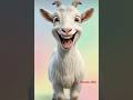 This AI cute Goat is doing so funny 😹 video / on grand master! #ai #cute #goat #funny #sheep #comedy
