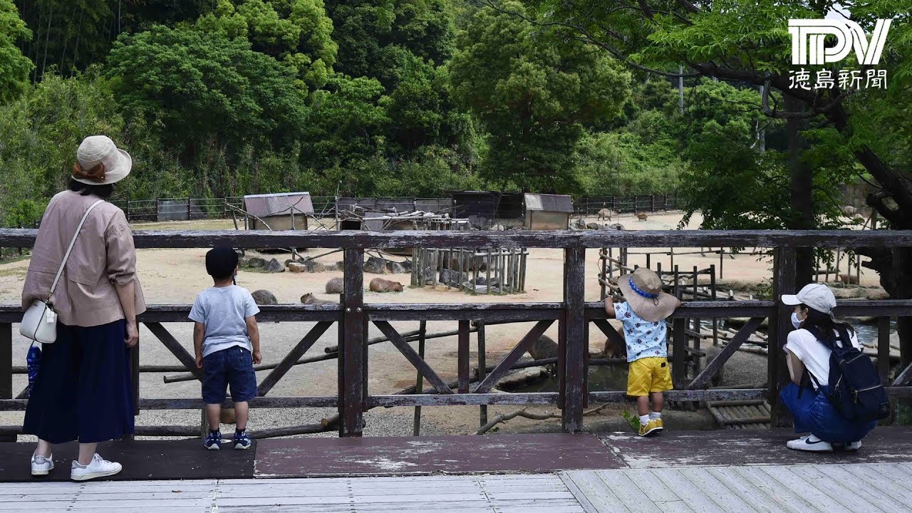 とくしま動物園再開 40日ぶり やっと合えたね Youtube