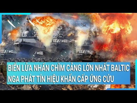 Video: Cảng B altic: danh sách, mô tả, vị trí, doanh thu hàng hóa