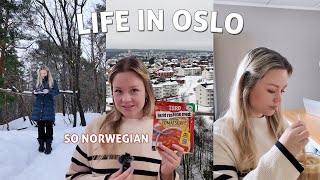 A Winter Day in Norway  Work From Home, Reading Harry Potter and Ugly Crying