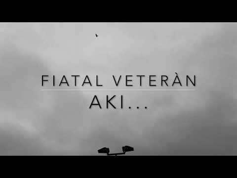 Fiatal Veterán - Aki.. mp3 letöltés