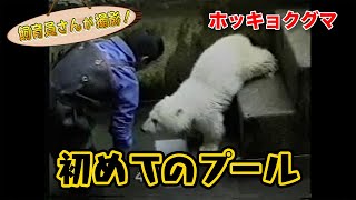 泳げなかったホッキョクグマのピースが初めて泳いだ日