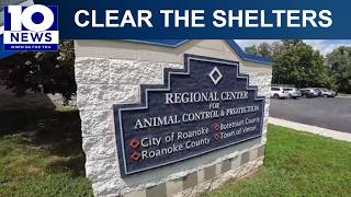 RCACP holds Clear the Shelters adoption event in Roanoke