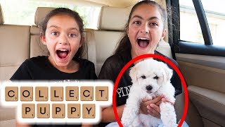 I'll buy Whatever you Spell Challenge - Collecting New Puppy🐶