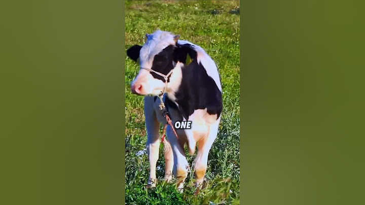 He ate Her Ice Cream. But Then He Did the Unthinkable! #shorts