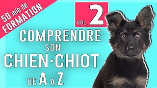 TOUT SAVOIR SUR VOTRE CHIEN 2