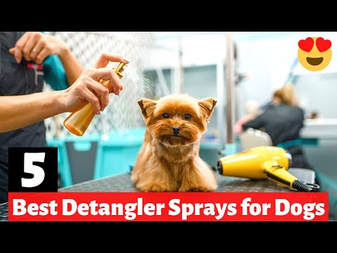 Videó: A legjobb Dematting Spray kutyák számára