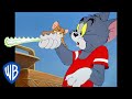 Tom & Jerry | Have a Picnic | Classic Cartoon Compilation | WB Kids