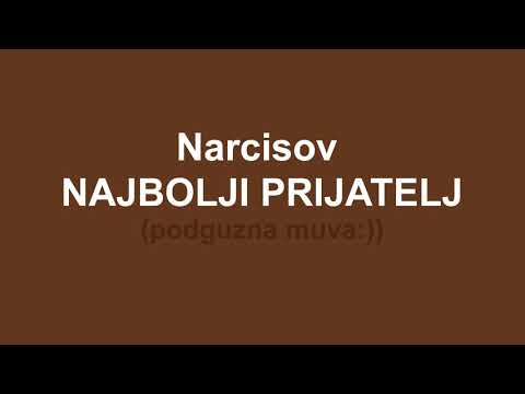 Video: NARCISUS JESI LI PRIJATELJ ILI NISI PRIJATELJ?