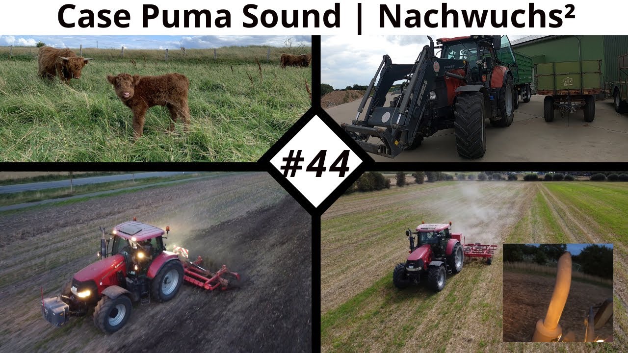 Farmvlog #44 | Case Puma mit ordentlich Sound | Nachwuchs² bei den Rindern