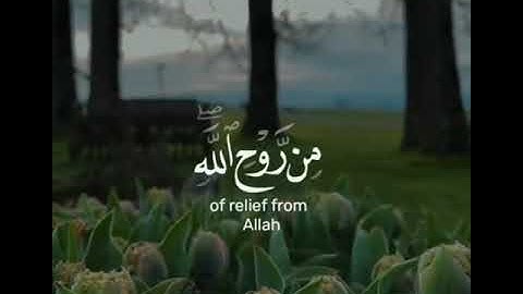 ﴿•▫️وَلَا تَاْيۡـَٔسُواْ مِن رَّوۡحِ ٱللَّهِۖ▫️•﴾▫️القارئ #مشاري_فالح