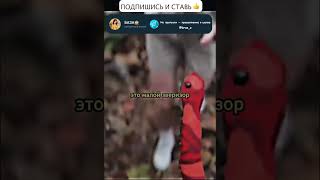 Что Было Дальше🔥😍😍 #shorts #trending #xml #4k #youtubeshorts #alightmotion #2pac #xml_file #short