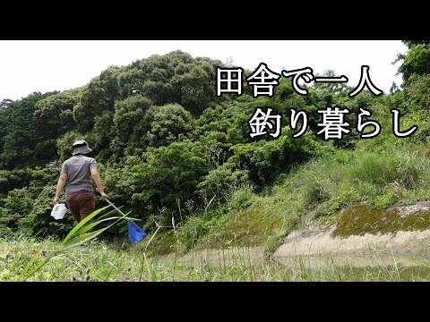 田舎で一人釣り暮らし！ダイソー製品で魚とり！ガサガサ川遊び