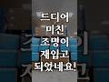 드디어 이 조명이 재입고 되었습니다! #shorts