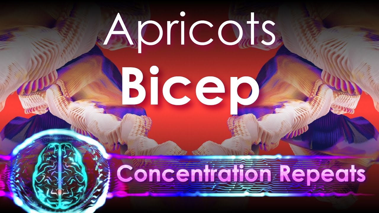 Bicep Apricots Concentration Repeat YouTube Music