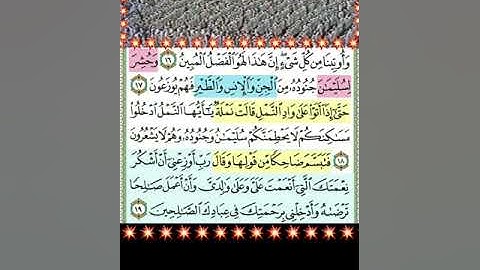 #وحشر لسليمان جنوده من الجن والإنس والطير فهم يوزعون# مقطع قرآنى للشيخ على_ باجابر من سورة النمل.