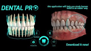 Dental Pro - Mobile application! screenshot 5