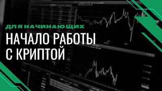 Что такое криптовалюта? Как правильно торговать, хранить и зарабатывать на цифровых активах