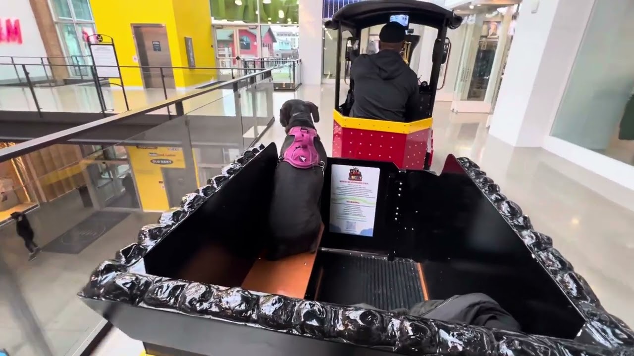 Train Ride on a Tuesday, The Liberty Center Express, A Wattman Mini Express