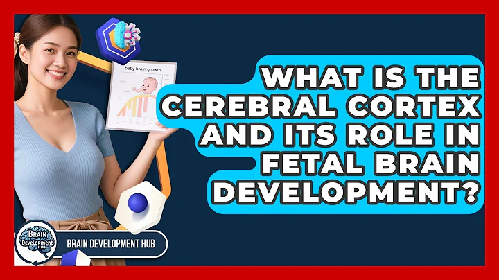 What Is The Cerebral Cortex And Its Role In Fetal Brain Development? - Brain Development Hub