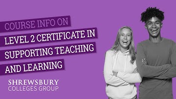Level 2 Certificate in Supporting Teaching and Learning