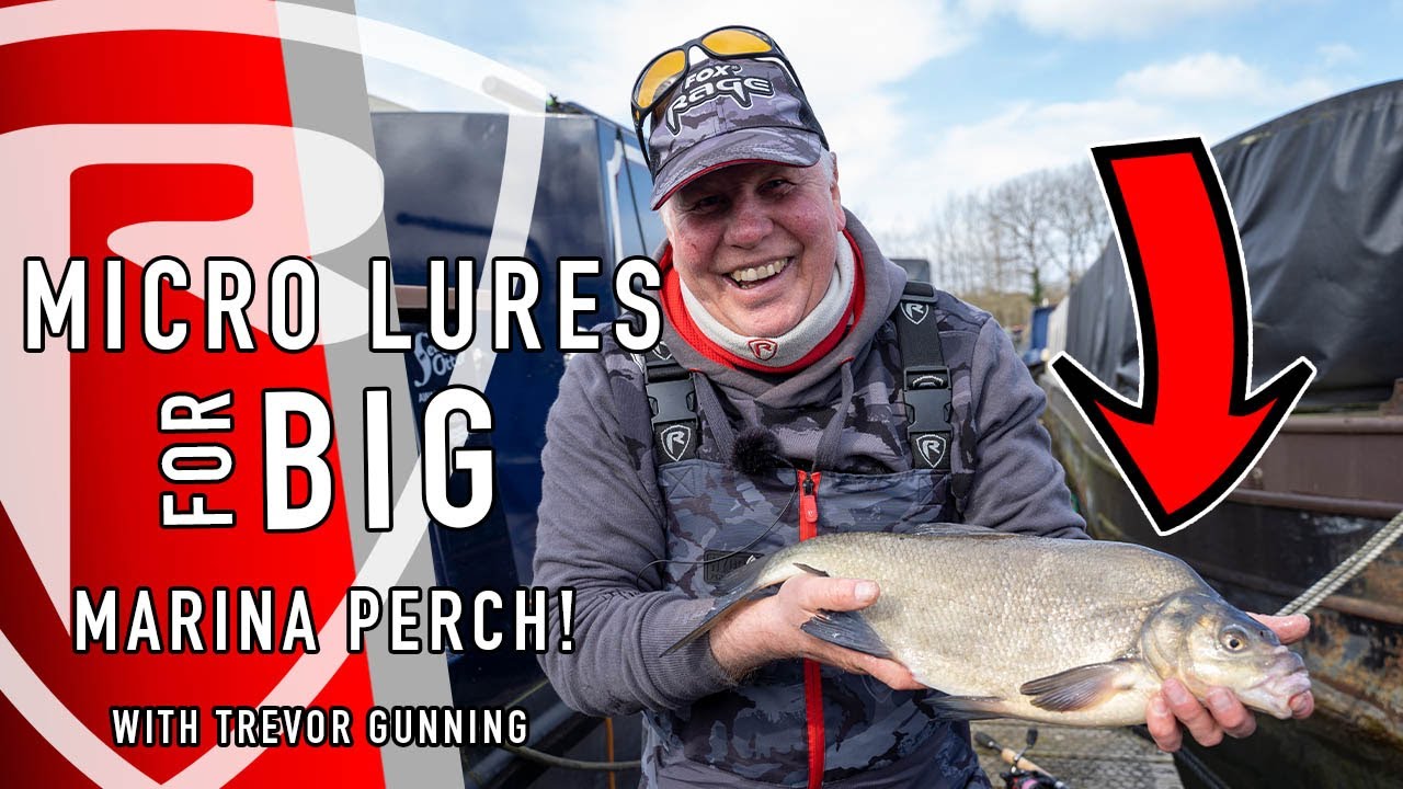 FOX RAGE TV*** MICRO LURES FOR BIG MARINA PERCH 