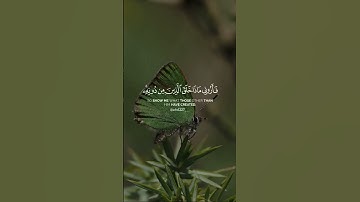 الآية 11 من سورة لقمان #قران_كريم#قرآن#القرآن_الكريم #تلاوة_خاشعة #راحة_نفسية #سورة_لقمان #اكسبلور