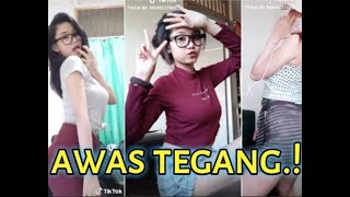 Tiktok viral dewasa