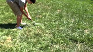 How to fail Blowing up a zucchini