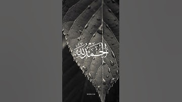 (وَمَن يَرْغَبُ عَن مِّلَّةِ إِبْرَاهِيمَ إِلَّا مَن سَفِهَ نَفْسَهُ) #القرآن_الكريم #سورة_البقرة