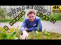 Евгений Понасенков гуляет под музыку Ride It [Понасенков Ride It, Клип Тик Ток 2021] | KuK