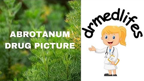 Abrotanum Drug picture Homeopathic medicine Allens keynotes materia Medica