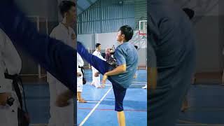 Latihan Dril Target Taekwondo ok #taekwondo #martialarts #pencaksilat