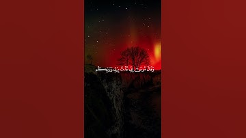 قران كريم #قرآن #قران_كريم #quran #capcut #خالد_الجليل #راحة_نفسية #يارب #اكسبلور #لايك #duet #like