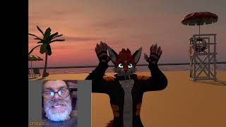 A furry Fox in VR Chat on Omegle #3