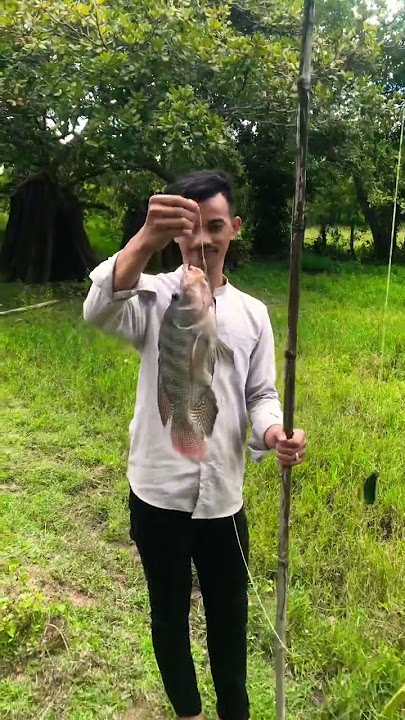 2kg  Amazing #fishing #khmer #cambodia