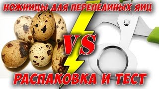 Ножницы для перепелиных яиц. Распаковка и тест !