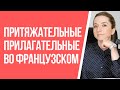 Притяжательные прилагательные (Adjectifs possessifs) во французском. Грамматика французского.