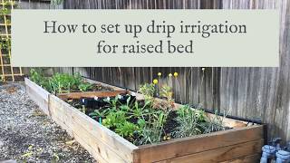 I love how irrigation saves so much time for me from watering my
plants. drip (micro spray system) is easy any beginner to set up as it
doe...