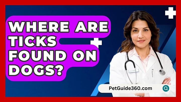 Where Are Ticks Found On Dogs? - PetGuide360.com