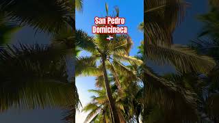 República Dominicana 🇩🇴 🏝️ #travel #merengue #exitosdesiempre #salsa #musica #dominicanrepublic